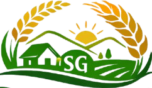 SUBEDI GRAINS (SG)